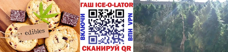 mega рабочий сайт  Кологрив  Еда ТГК конопля  хочу наркоту 