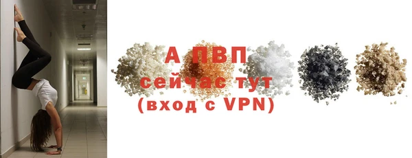твердый Бородино