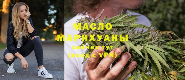 твердый Бородино