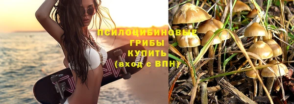 эйфоретик Бронницы