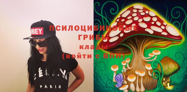 эйфоретик Бронницы