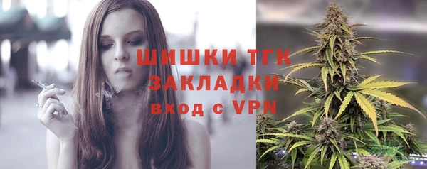 ГАЛЛЮЦИНОГЕННЫЕ ГРИБЫ Слюдянка