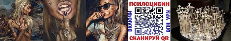 Галлюциногенные грибы мухоморы  мориарти телеграм  omg ТОР  Кологрив  закладка 